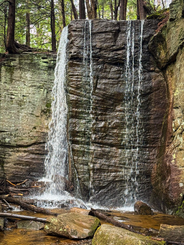 A small waterfall cascades over a dark, layered rock ledge into a shallow woodland stream surrounded by mossy rocks, fallen branches, and trees.