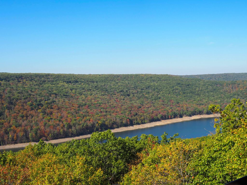 A red tinged forest leads down to a river.